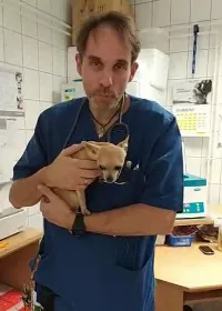 Mi a helyzet, ha "becsokizik" a házi kedvenc?